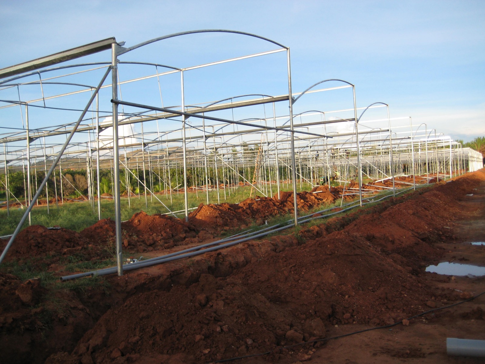 Greenhouse Project 35